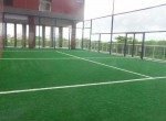 Campo Gramado