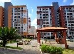 Passáros3