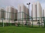 campo gramado