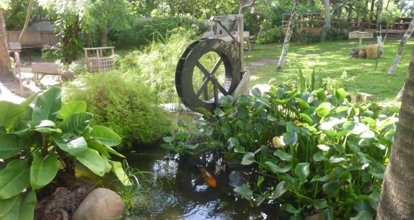 Nas férias ou não, viva intensamente a natureza no Viveiro Tracoá em São Luís MA